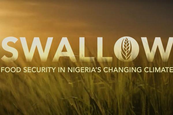 Swallow: Food Security in Nigeria’s Changing Climate