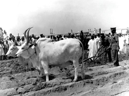 Promoting Agricultural Development through the launch of ‘Operation Feed the Nation’