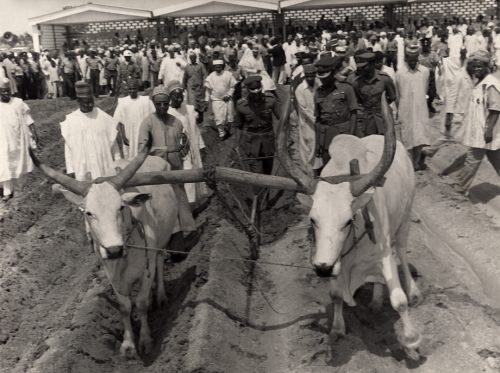 Promoting Agricultural Development – Operation Feed the Nation