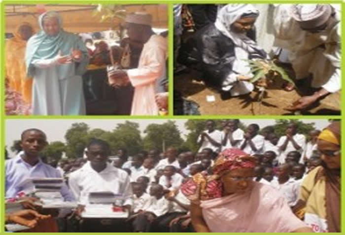 Tree Planting — Malumfashi